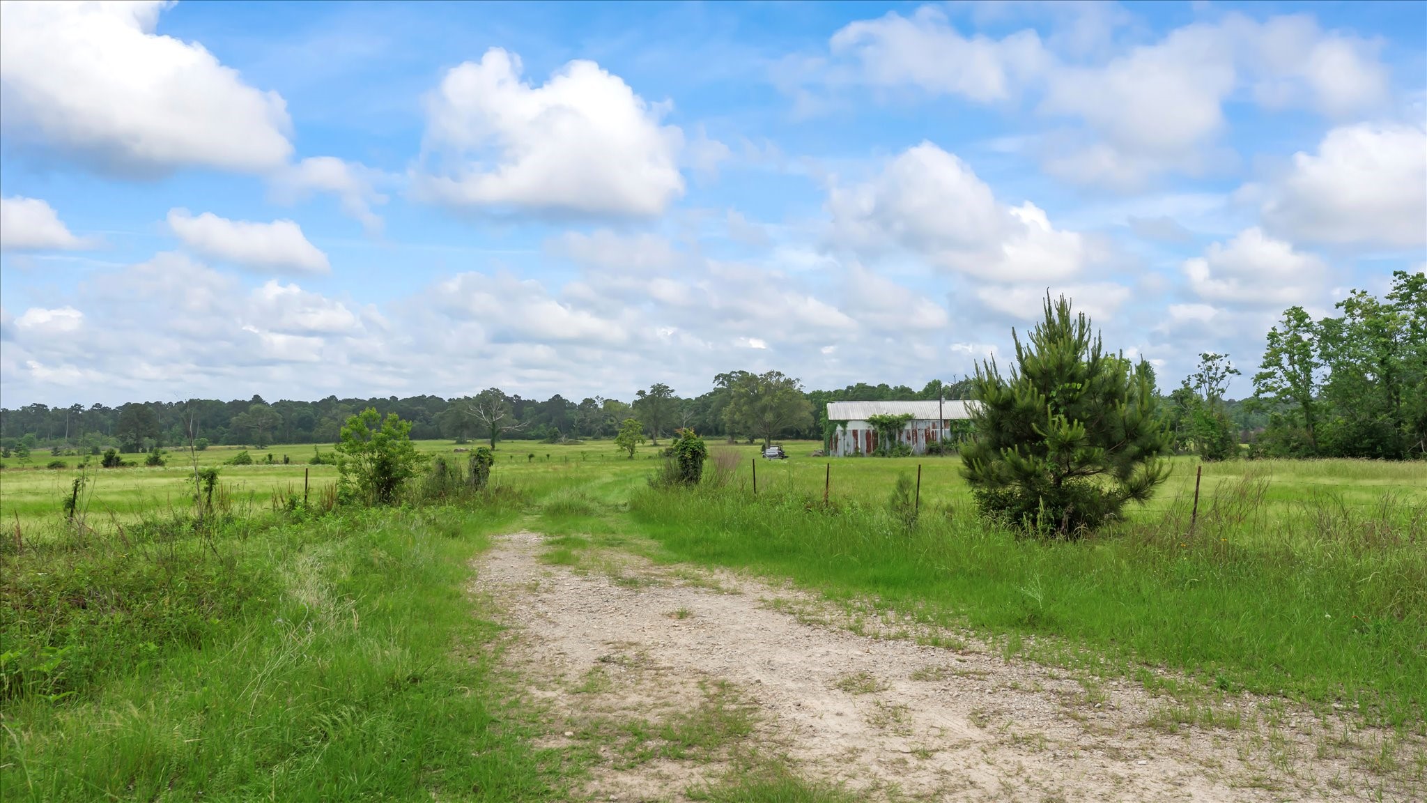 2760 Stringtown Road Shepherd, TX 77371 - Photo 20 of 46