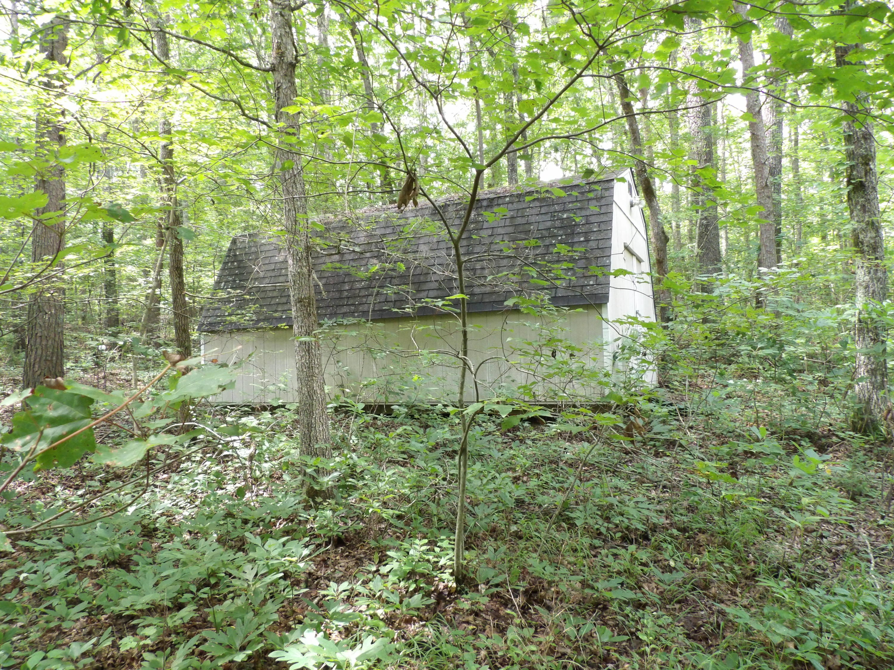 14 Fernhill Road, Unit 14 Pikeville, TN 37367 - Photo 22 of 41 100_1273