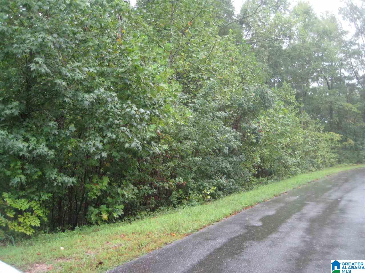 37 Friendship Mountain Lane, Unit 37 Springville, AL 35146 - Photo 3 of 5