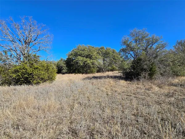 a view of a dry yard with trees