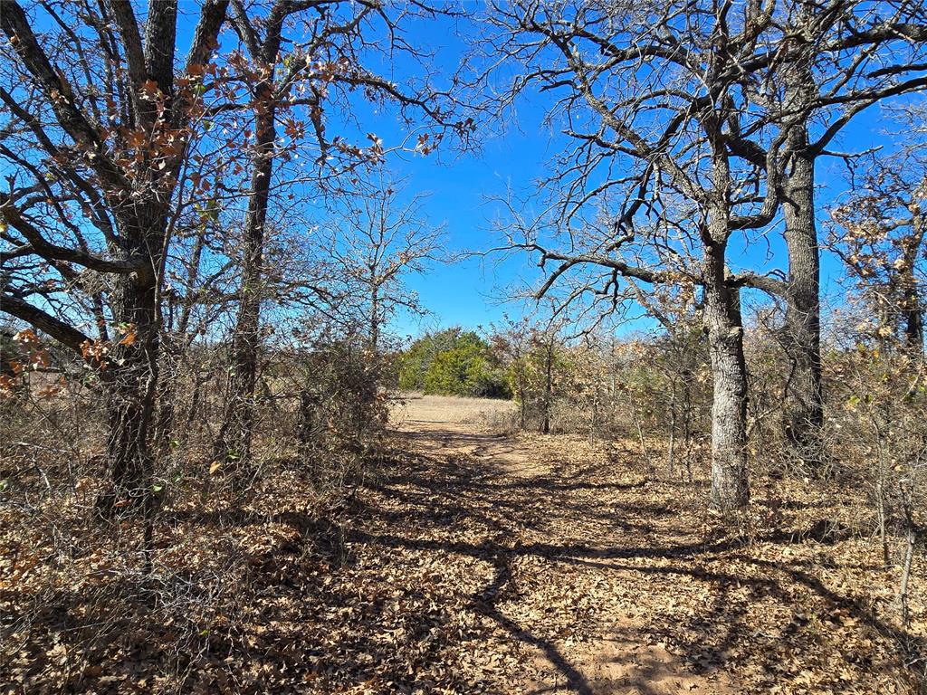 721 County Road 335 Ranger, TX 76470 - Photo 2 of 40