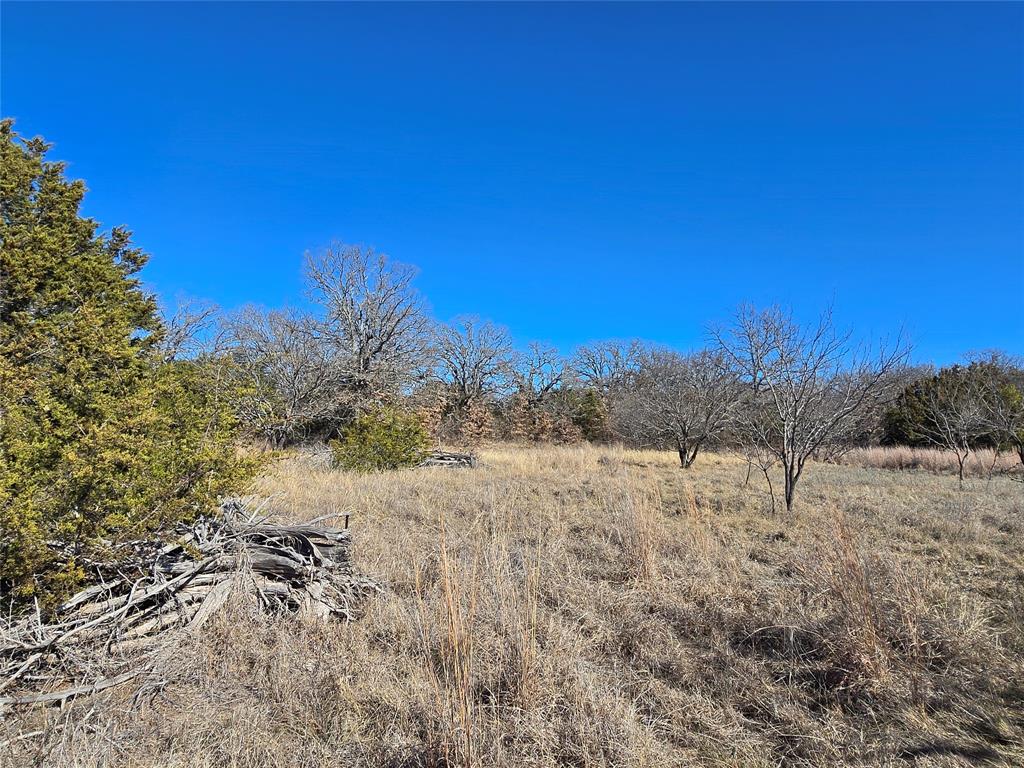 721 County Road 335 Ranger, TX 76470 - Photo 28 of 40