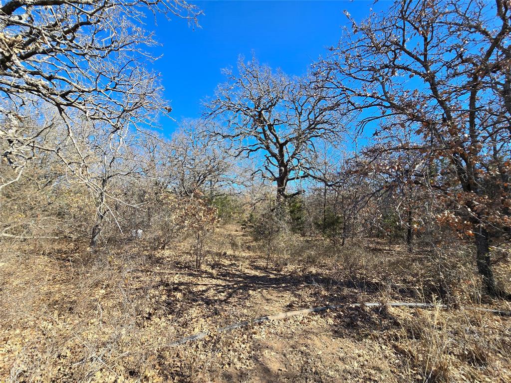 721 County Road 335 Ranger, TX 76470 - Photo 31 of 40