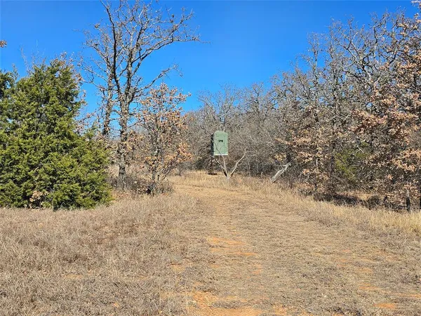 a view of mountain view with trees