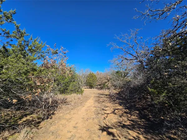 a view of a yard with a tree