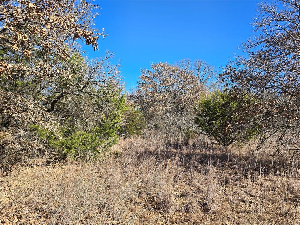 721 County Road 335 Ranger, TX 76470 - Photo 37 of 40