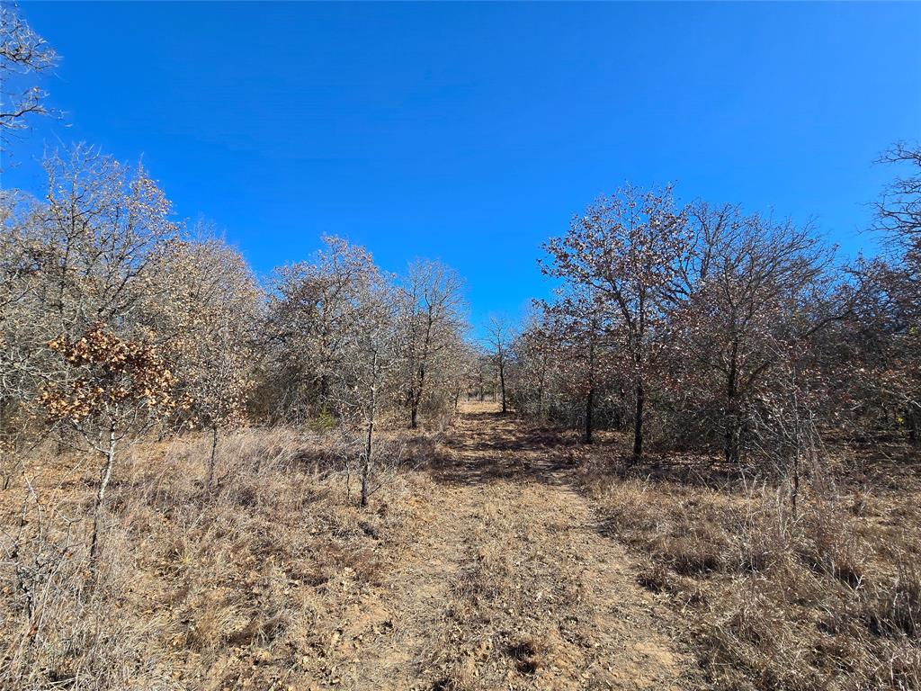 721 County Road 335 Ranger, TX 76470 - Photo 38 of 40