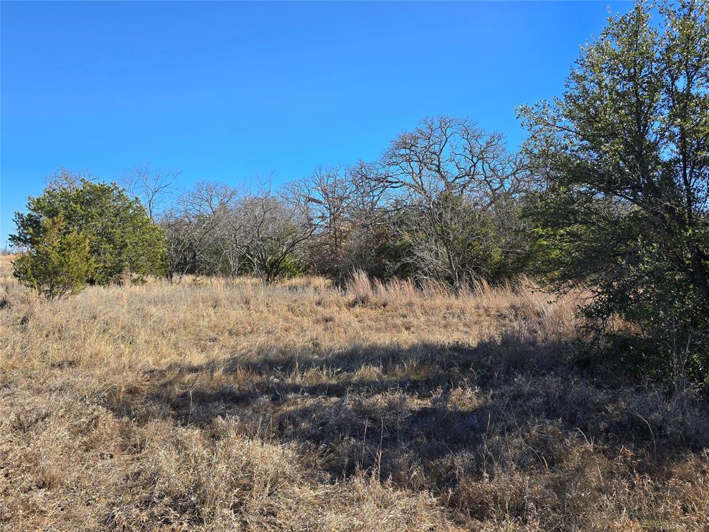 721 County Road 335 Ranger, TX 76470 - Photo 39 of 40