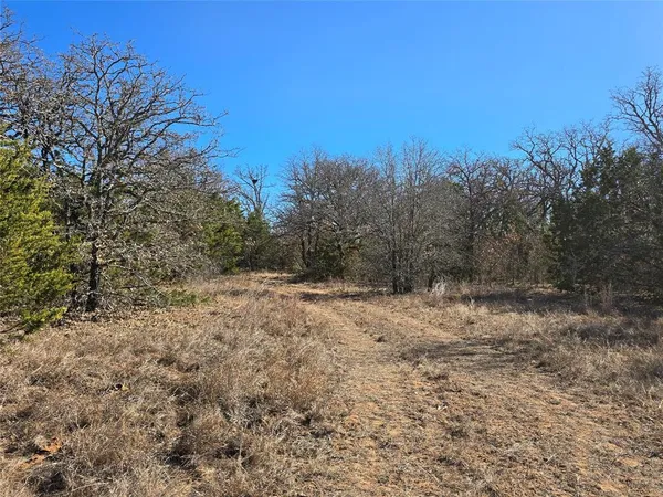 a view of a dry yard with trees in the background