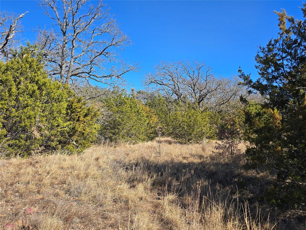 721 County Road 335 Ranger, TX 76470 - Photo 4 of 40