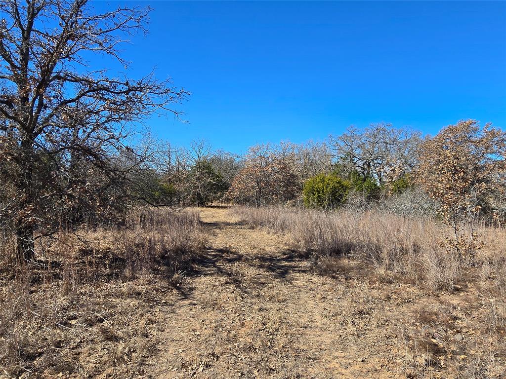 721 County Road 335 Ranger, TX 76470 - Photo 5 of 40
