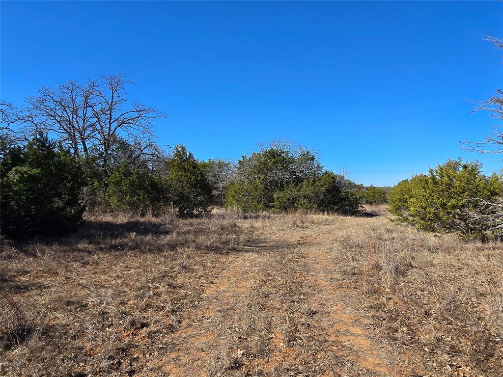 721 County Road 335 Ranger, TX 76470 - Photo 6 of 40