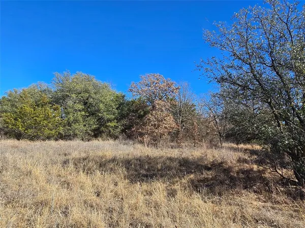 a view of a dry yard with trees in the background
