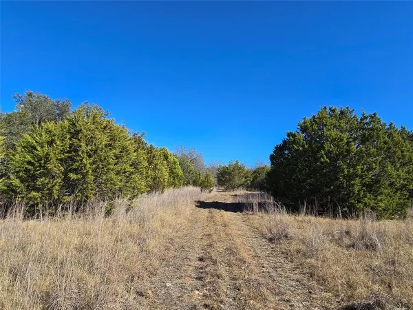 a view of a field of grass and trees