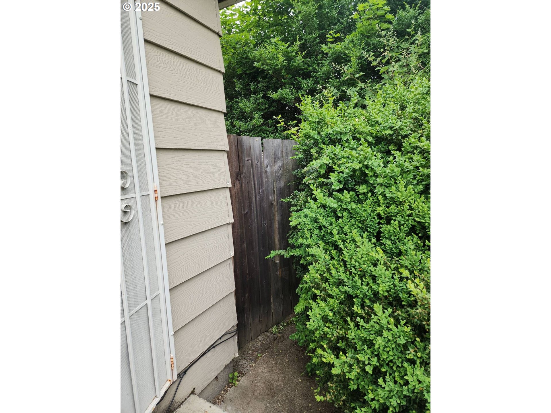 736 5th Street Springfield, OR 97477 - Photo 7 of 8