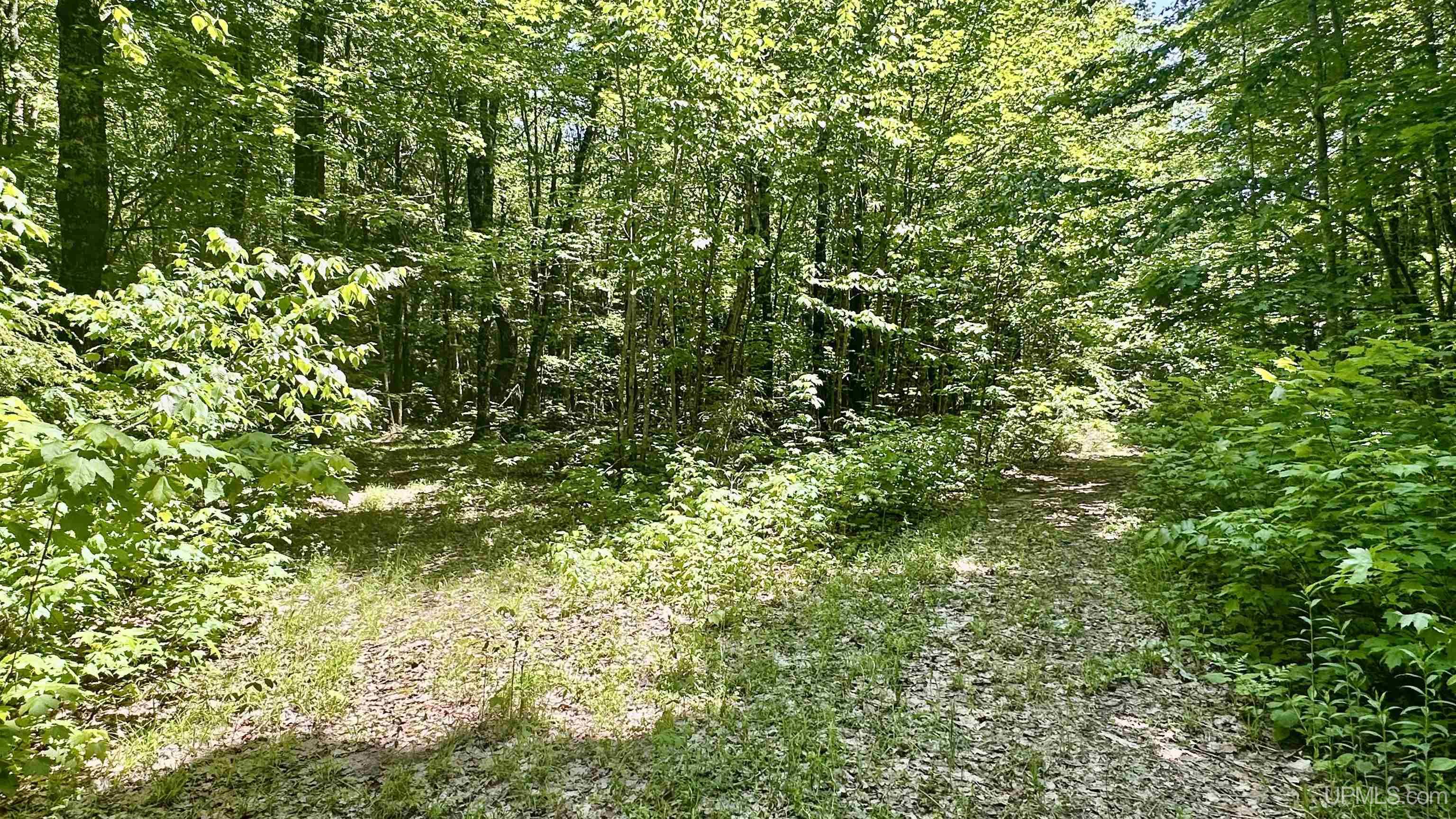 7450 Northwestern Road Big Bay, MI 49808 - Photo 33 of 58