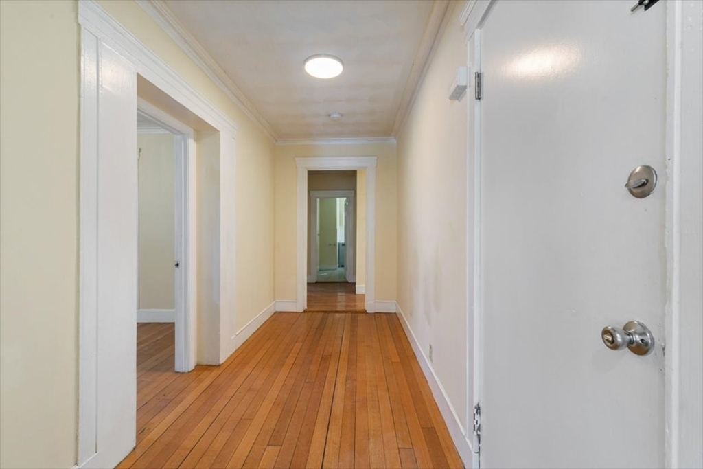 352 Walnut Avenue, Unit 1 Boston, MA 02119 - Photo 5 of 28