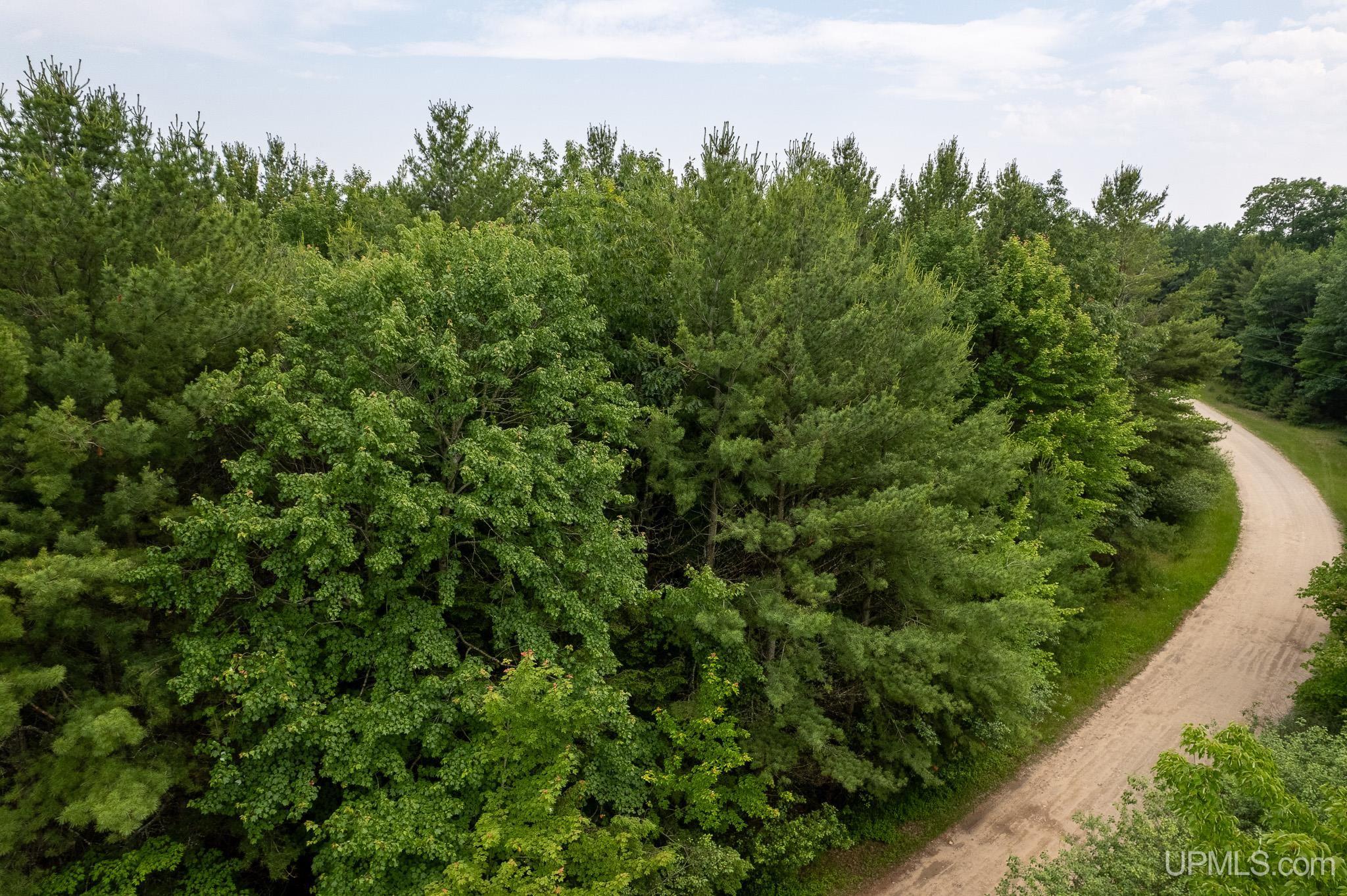 Tbd R 75 Lane Rapid River, MI 49878 - Photo 4 of 5