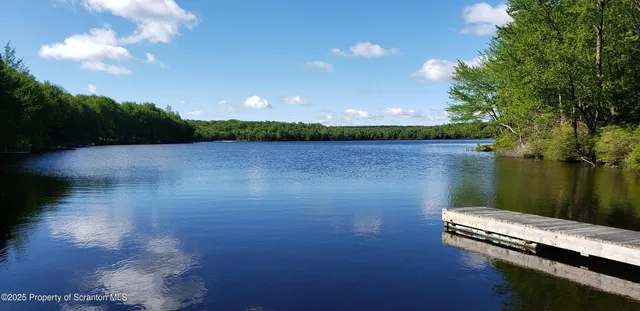 a view of a lake in middle of a forest