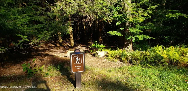 a view of a street with flower plants