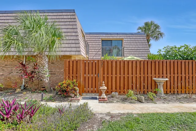 a view of a backyard with plants and large tree