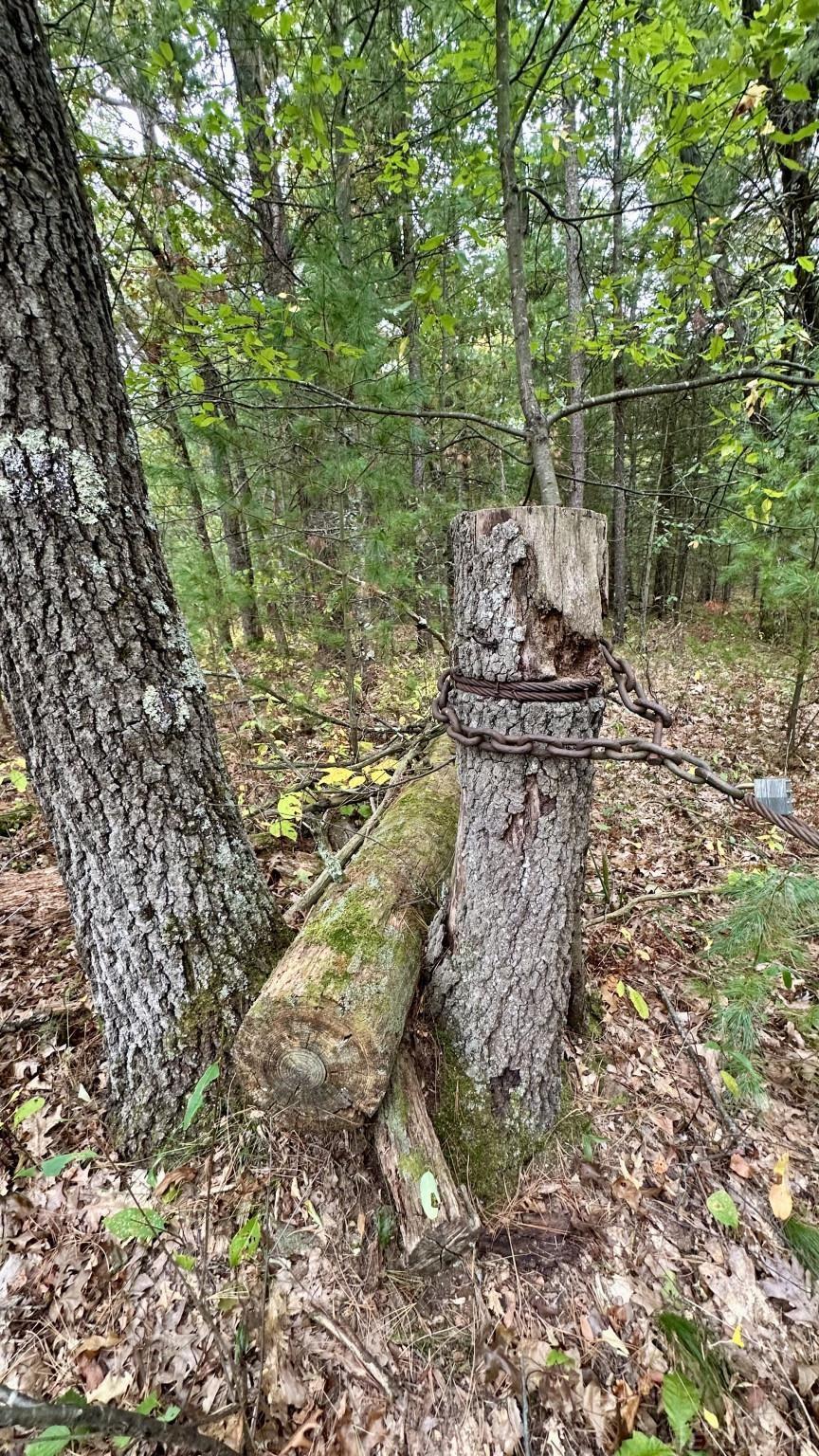 0 Old Camp Road Manistee, MI 49660 - Photo 5 of 22 Gallery Image 5