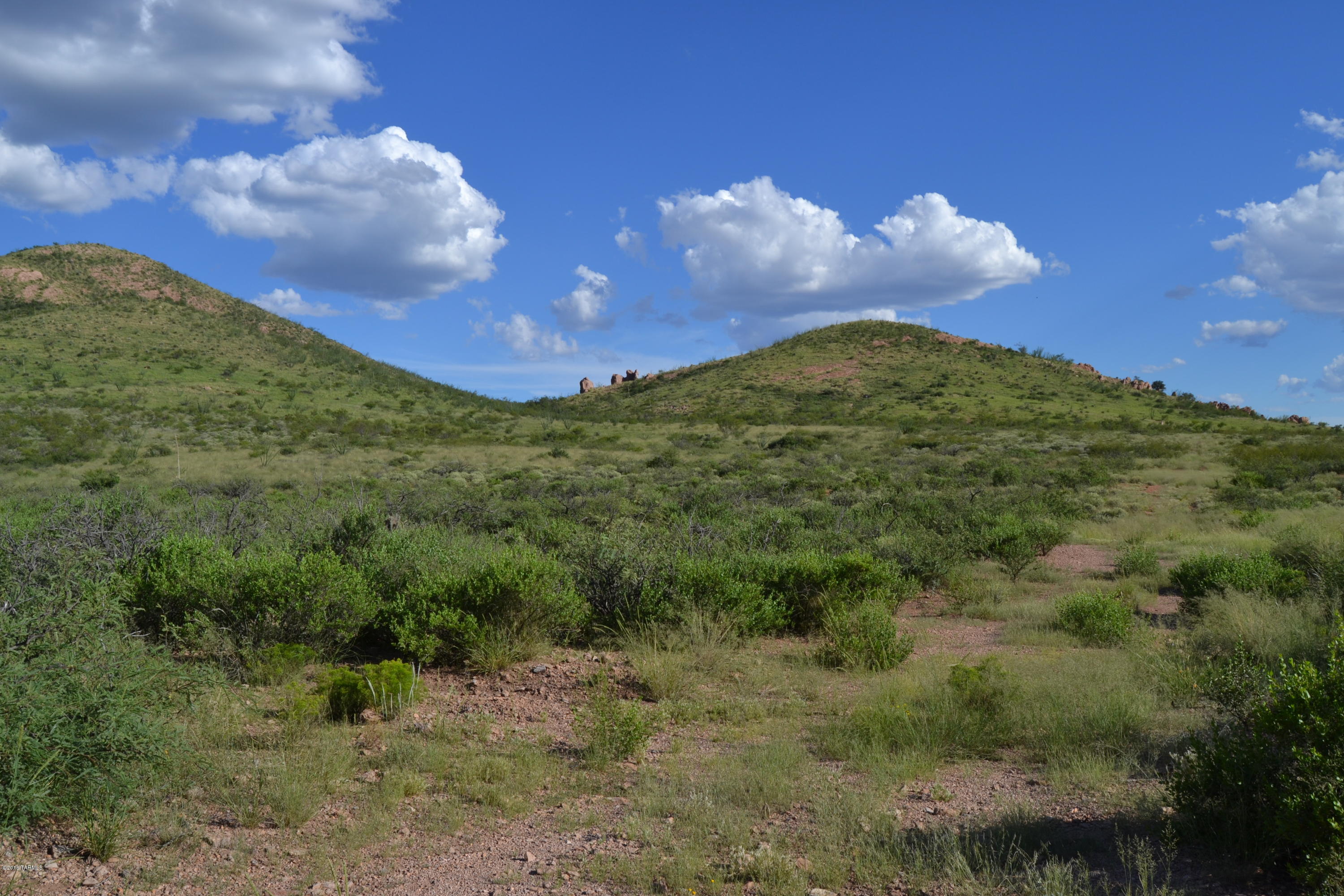 Tbd East Green Wash Road Douglas, AZ 85607 - Photo 7 of 12 Gallery Image 7