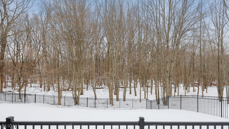 49 Clydesdale Road Scotch Plains, NJ 07076 - Photo 30 of 34