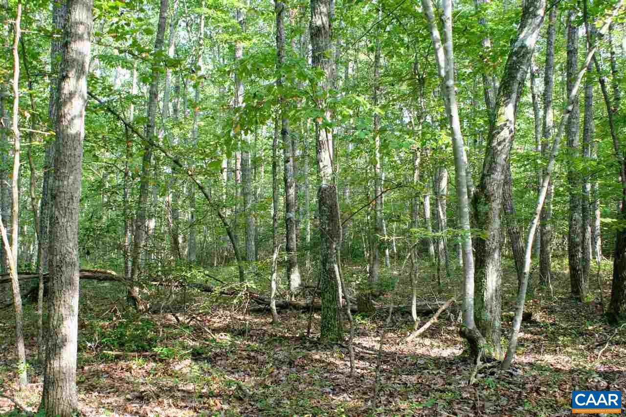 Tba Lot 2 Tba Route South Dillwyn, VA 23936 - Photo 26 of 39 Gallery Image 26
