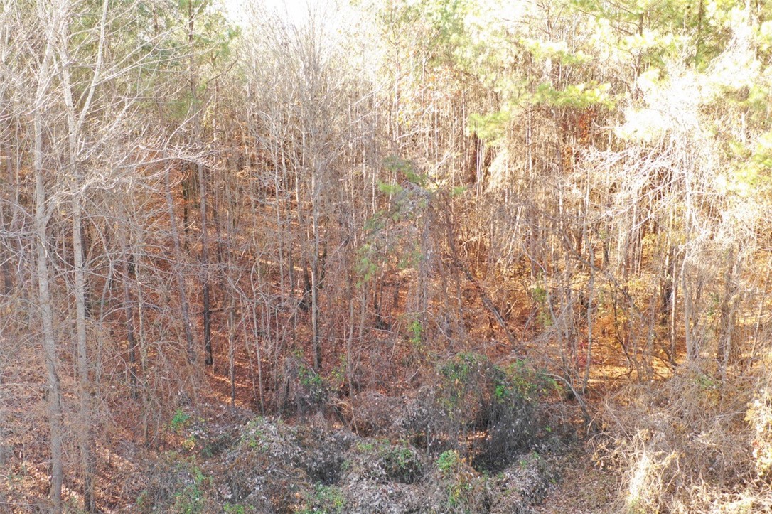 0 Moonlight Bridge Road Calhoun Falls, SC 29628 - Photo 10 of 12 Gallery Image 10