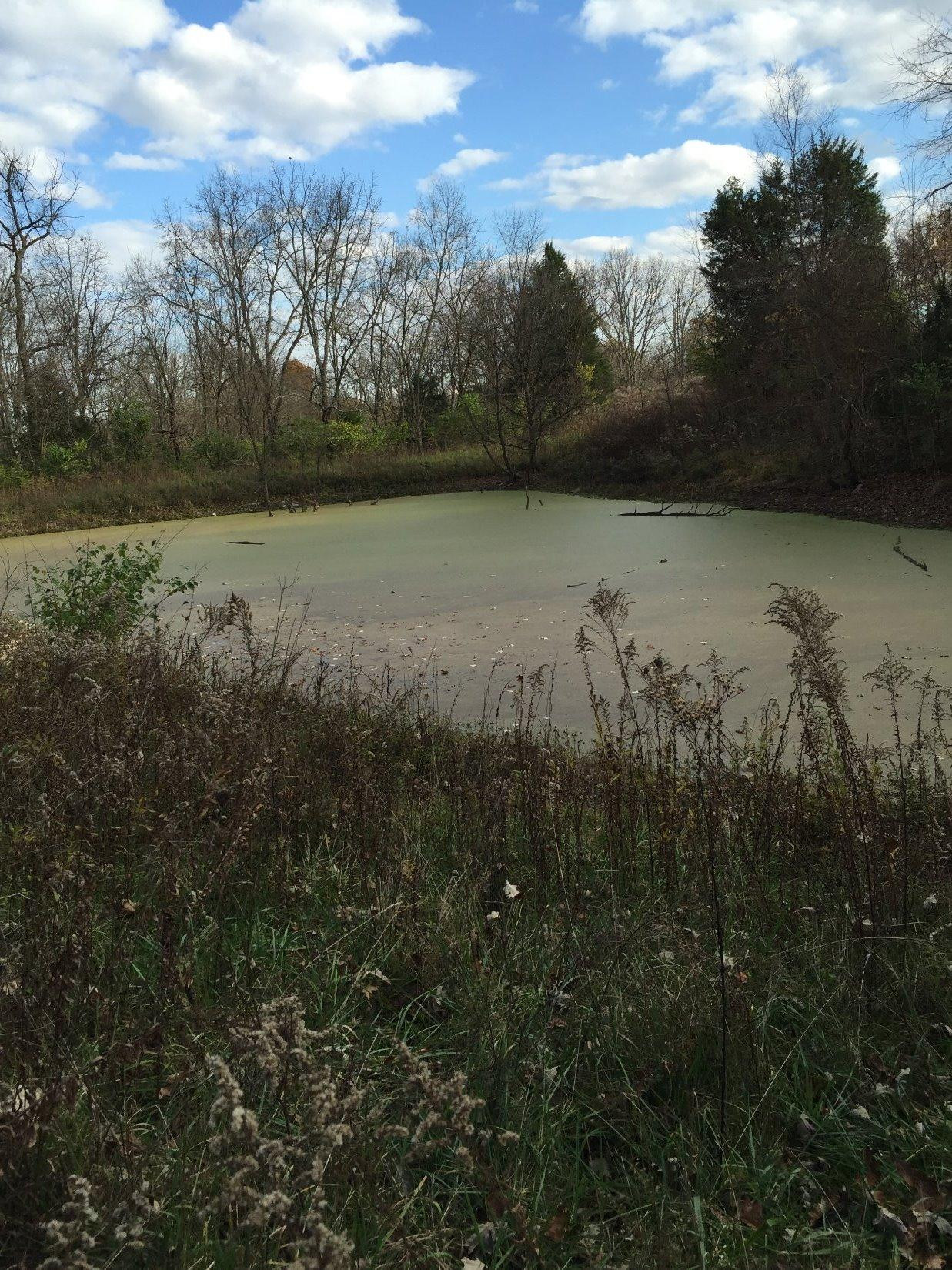 0 Lake Road Paris, KY 40361 - Photo 12 of 12 Photo 13