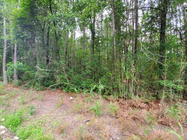 $45,000 | 0 Second Texas Road, St. George, SC 29477