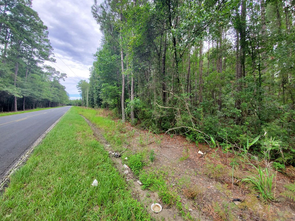 0 Second Texas Road St. George, SC 29477 - Photo 2 of 4 Photo 2
