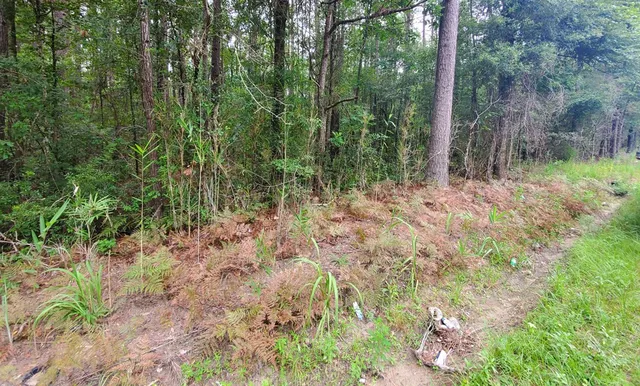 $45,000 | 0 Second Texas Road, St. George, SC 29477