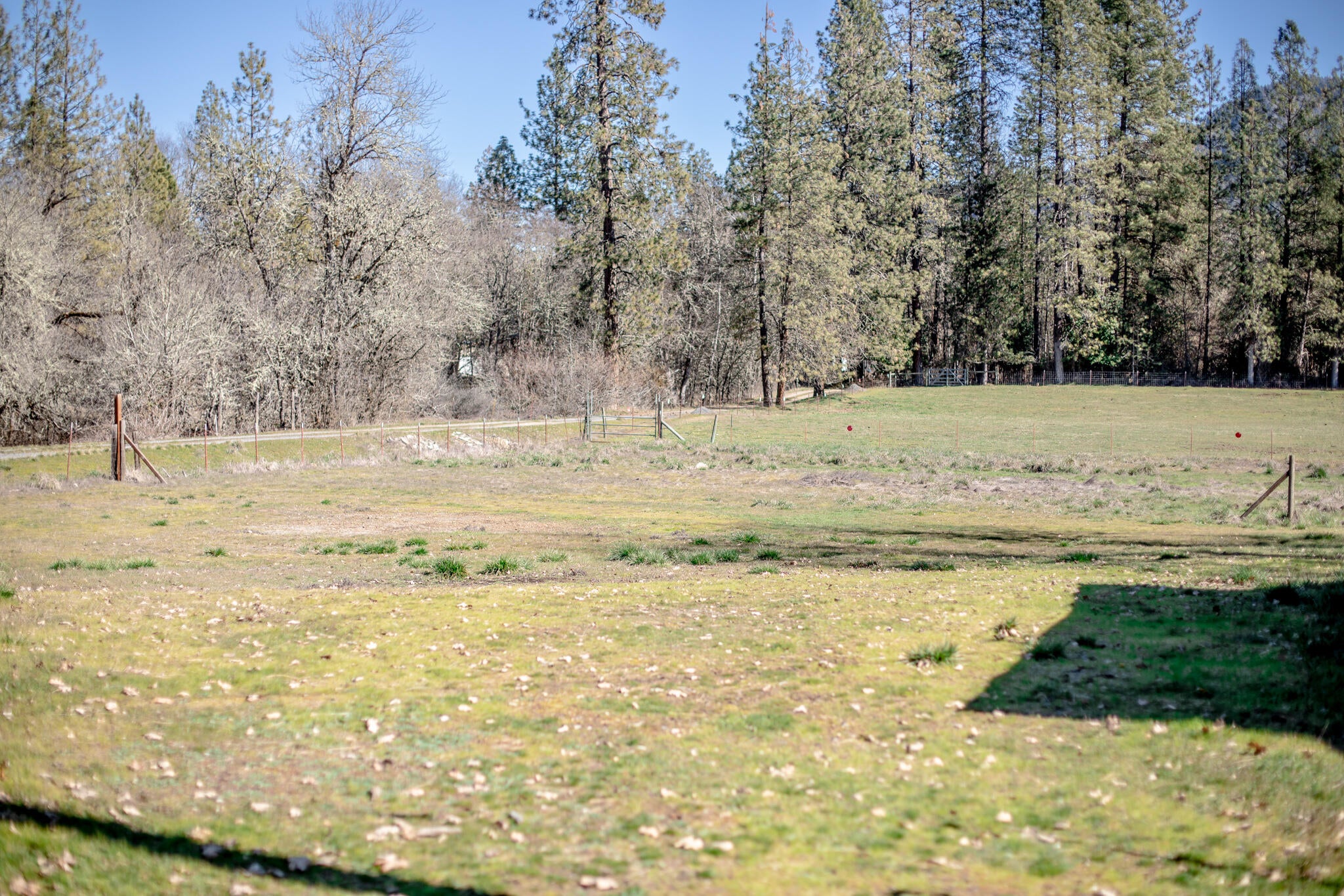 2074 Pine Grove Road Rogue River, OR 97537 - Photo 15 of 34 2H2A6538
