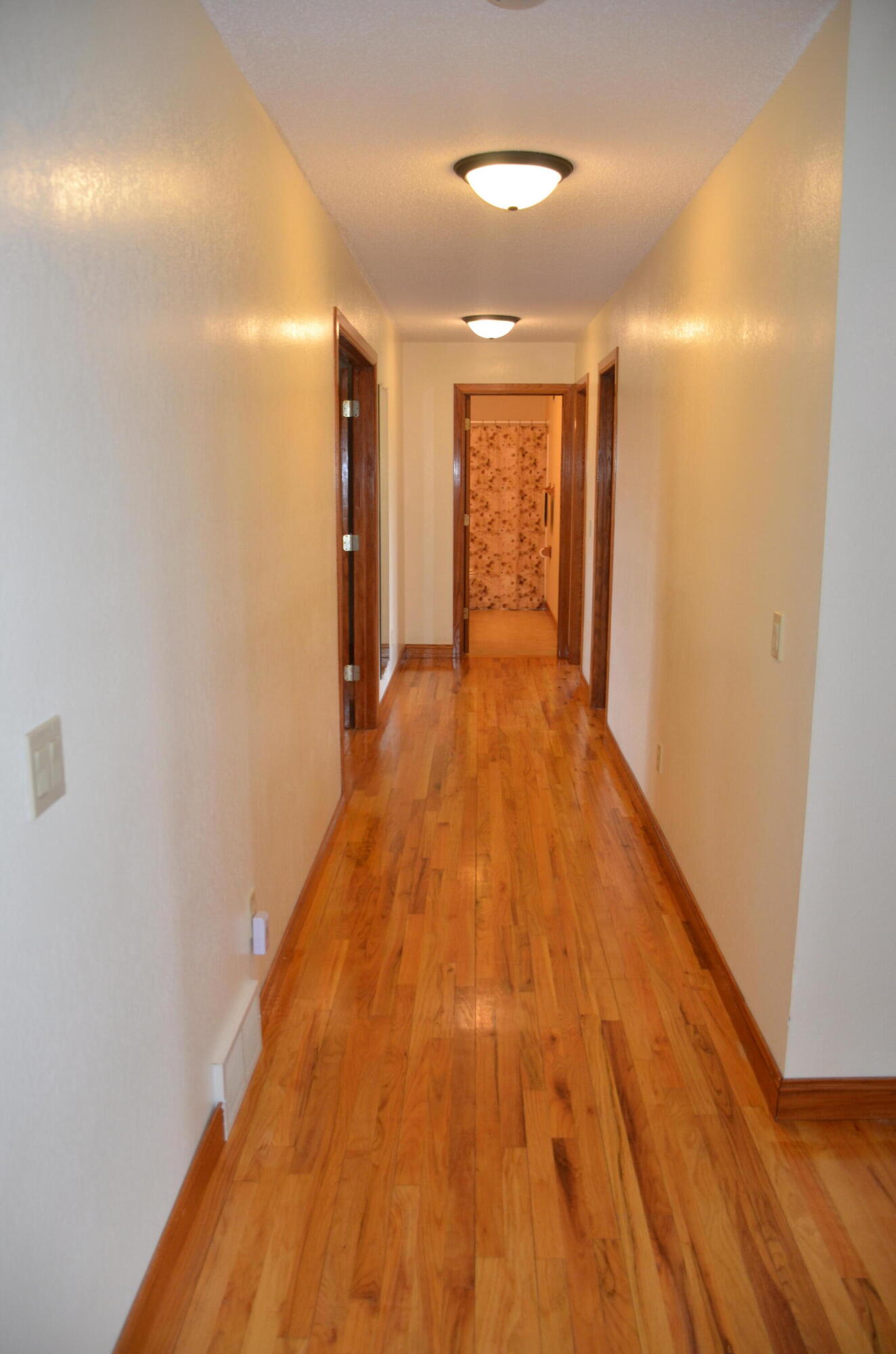 34506 Pleasant Point Drive Winona, MN 55987 - Photo 26 of 75 DSC_7010