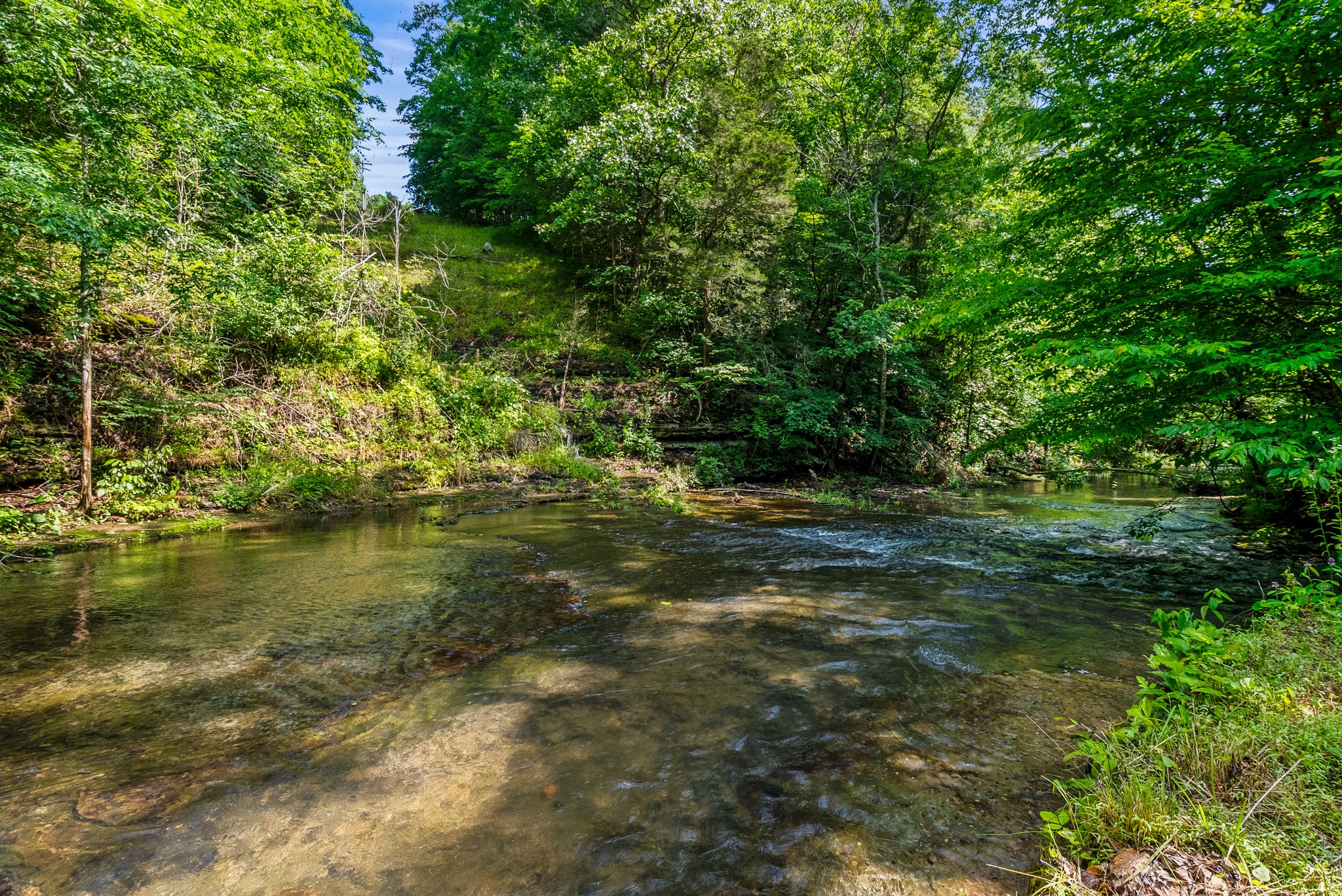 1150 Treanor Springs Road Kingston Springs, TN 37082 - Photo 45 of 48