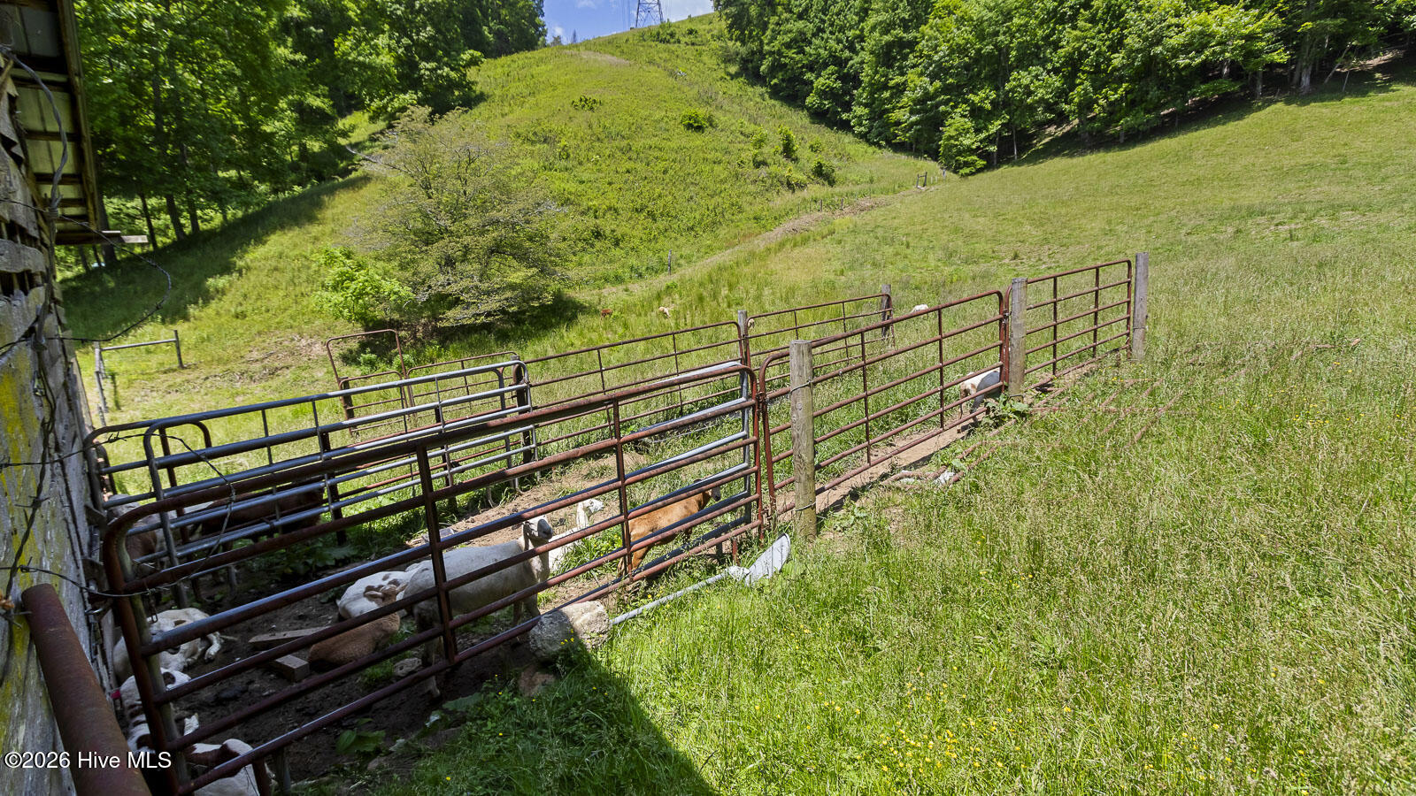 1740 Winding Stairs Road Topton, NC 28781 - Photo 108 of 129
