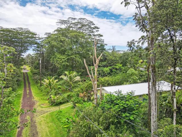 a view of a garden with plants