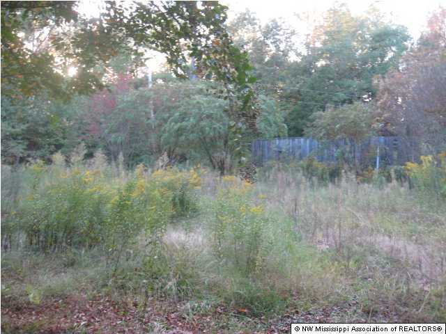455 Stinson Road Holly Springs, MS 38635 - Photo 2 of 7 Additional Photo