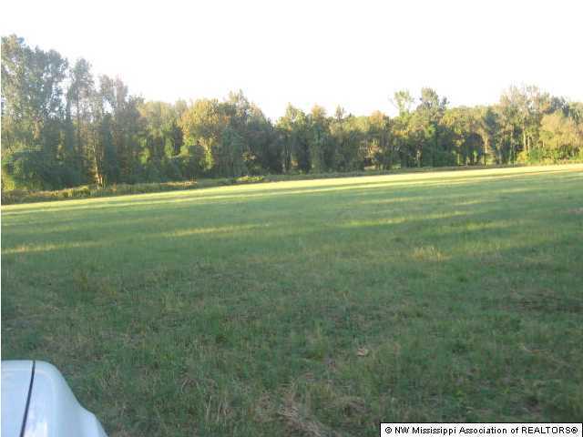 455 Stinson Road Holly Springs, MS 38635 - Photo 6 of 7 Additional Photo