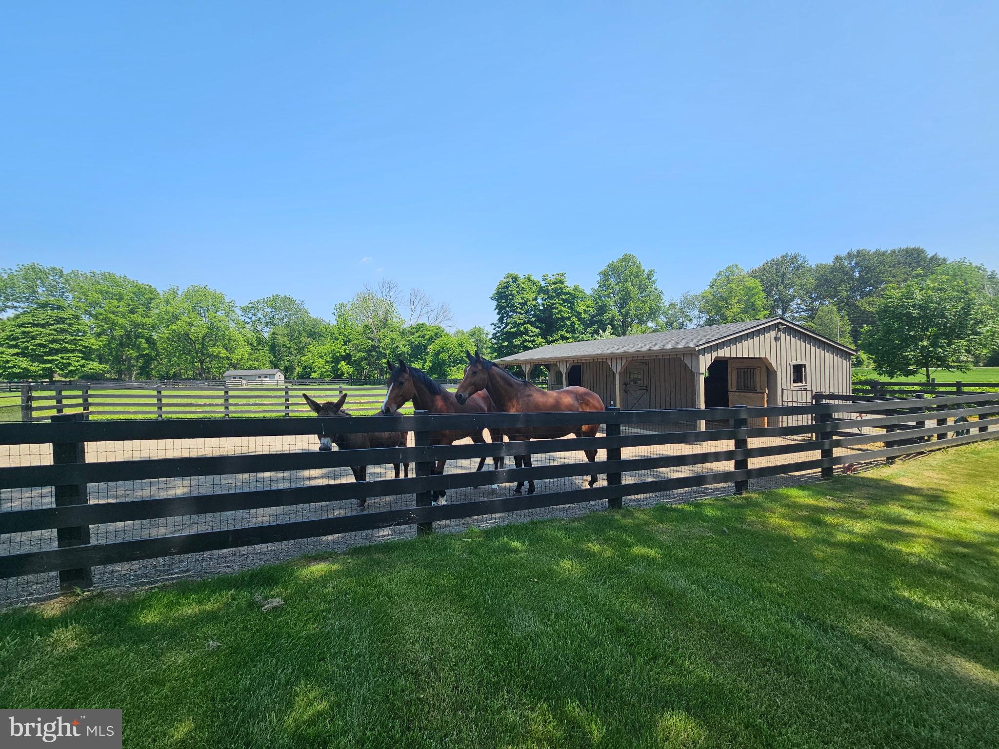112 Pleasant Grove Road Long Valley, NJ 07853 - Photo 99 of 104