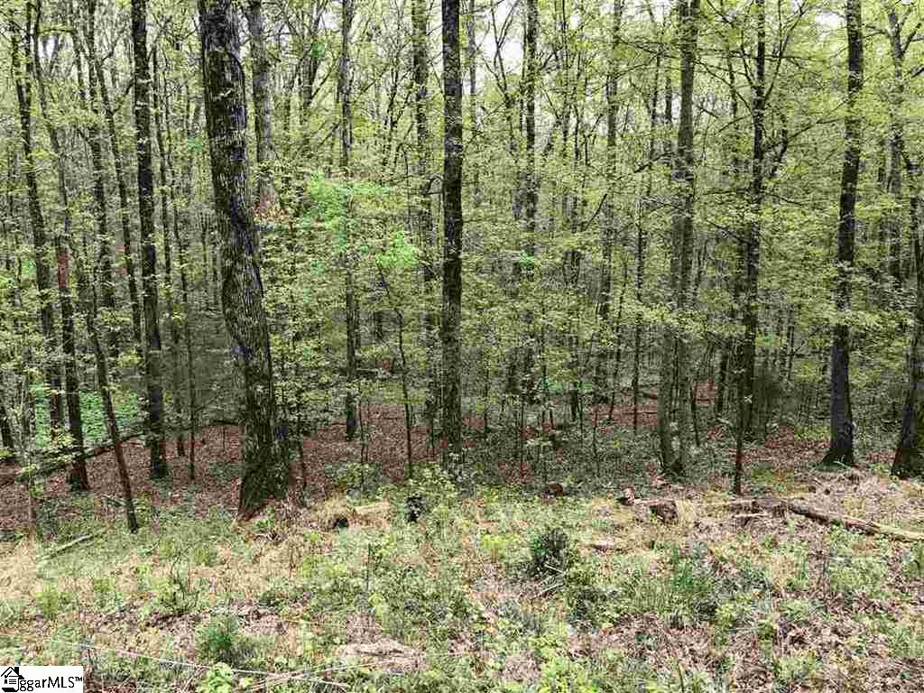 0 Oconee Avenue Unit Lot 324  