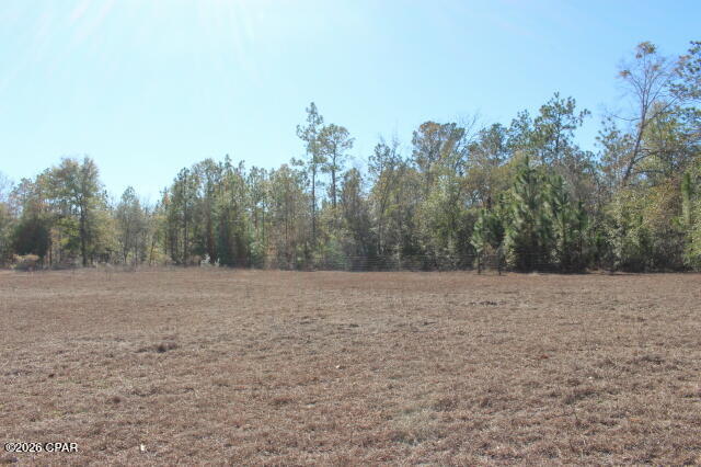6297 Americus Road Marianna, FL 32446 - Photo 15 of 60