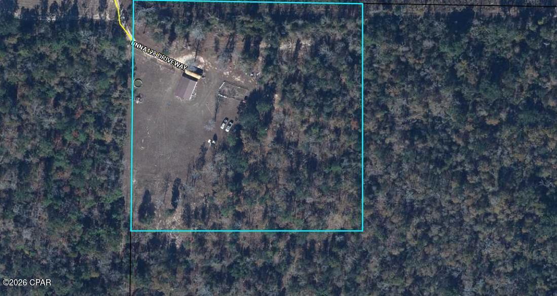 6297 Americus Road Marianna, FL 32446 - Photo 4 of 60