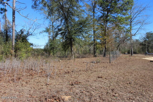 6297 Americus Road Marianna, FL 32446 - Photo 10 of 60