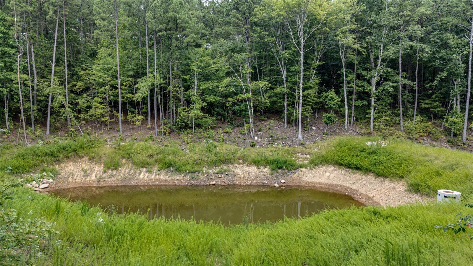 0 Farm Road, Unit LOT 1047 Guild, TN 37340 - Photo 17 of 34 15-0 Farm Rd lot 1047-14