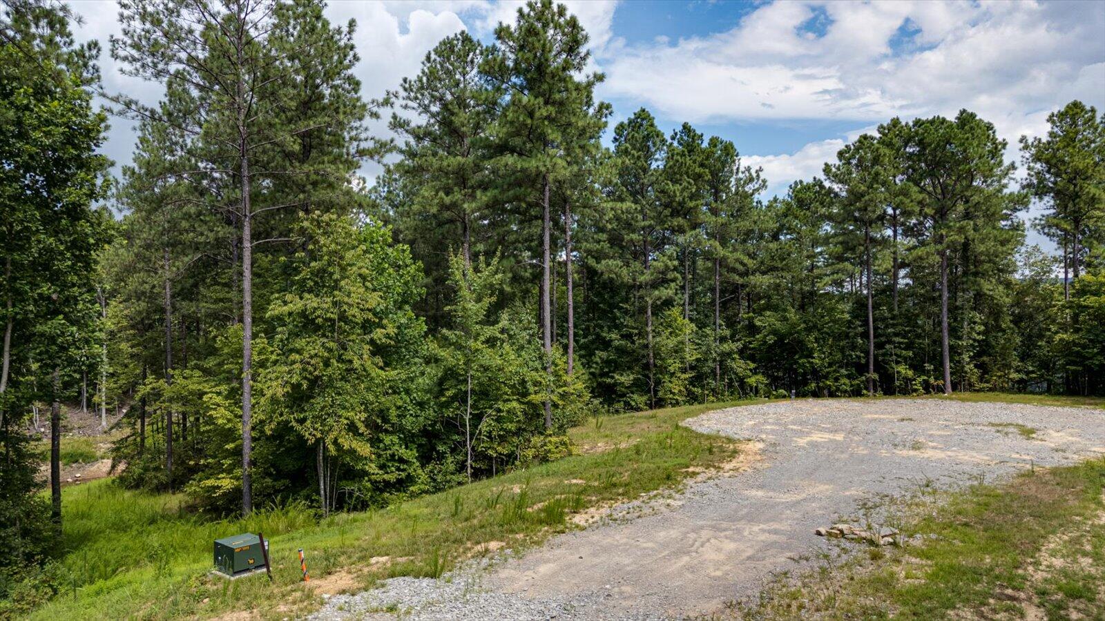 0 Farm Road, Unit LOT 1047 Guild, TN 37340 - Photo 4 of 34 01-0 Farm Rd lot 1047-1