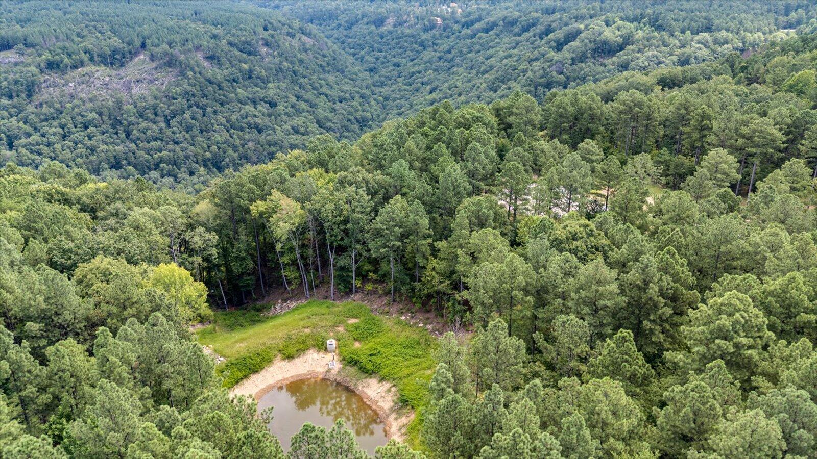 0 Farm Road, Unit LOT 1047 Guild, TN 37340 - Photo 8 of 34 06-0 Farm Rd lot 1047-6