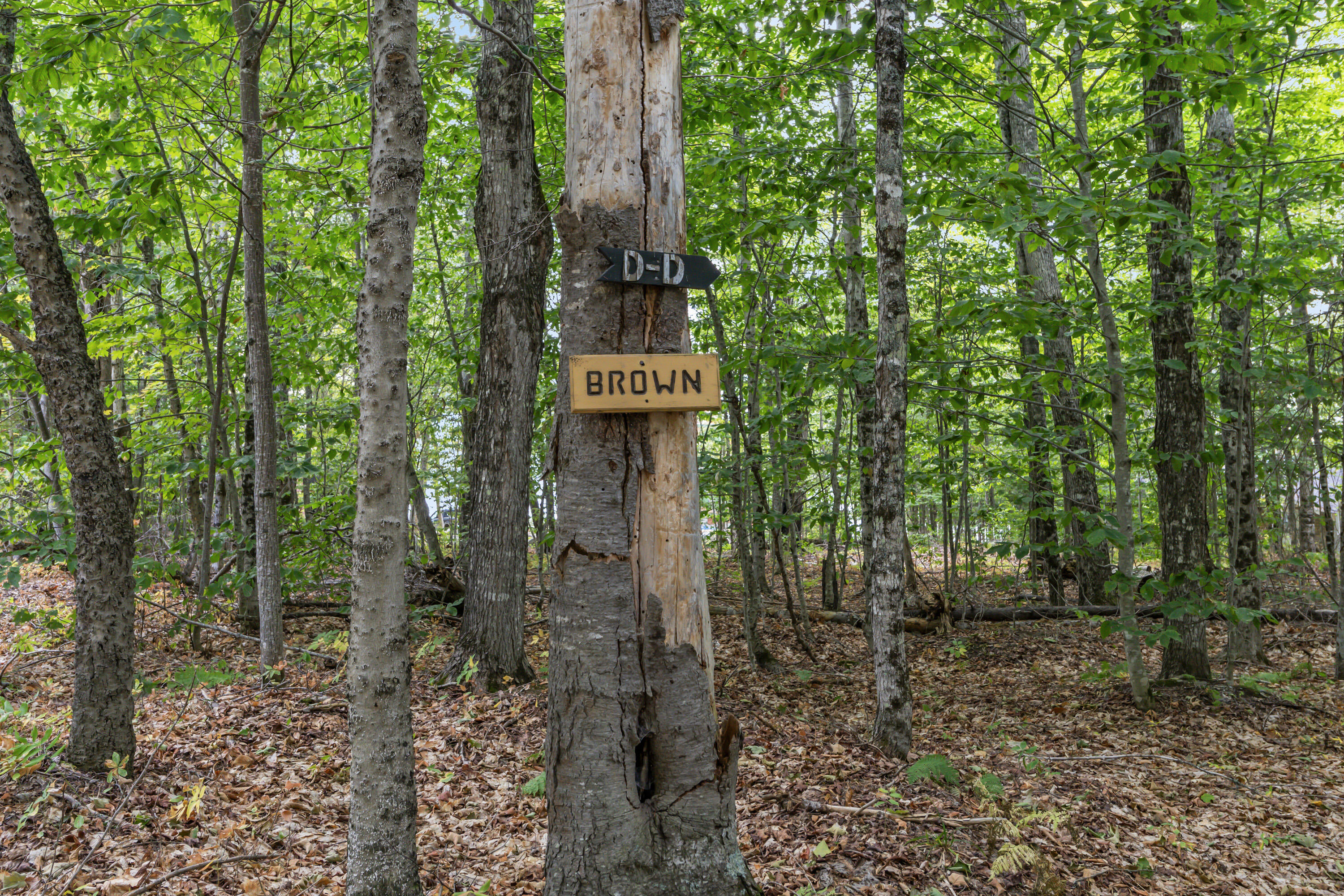 Lot 32 Ross Farm Road Greenville, ME 04441 - Photo 46 of 69 Lot 32 Ross Farm Rd_141